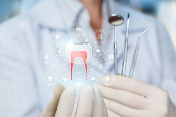 Best Dental Exams and Cleanings  in Phoenix, IL